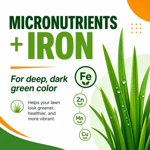 Miniatura 6 de 10-0-20 Fertilizante esmeralda para césped de 18 libras, nitrógeno, hierro y micronutrientes de liberación lenta, césped verde oscuro para festuca