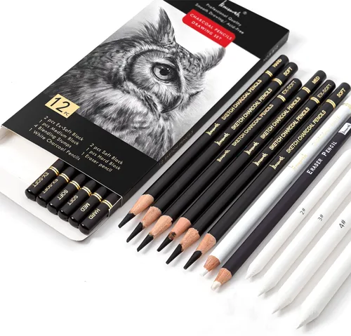 Miniatura 8 de Set de Dibujo de Carbón Brusarth - 12 piezas de lápices de carbón negro, lápices de carbón blanco, lápices borradores, mondadientes para dibujar