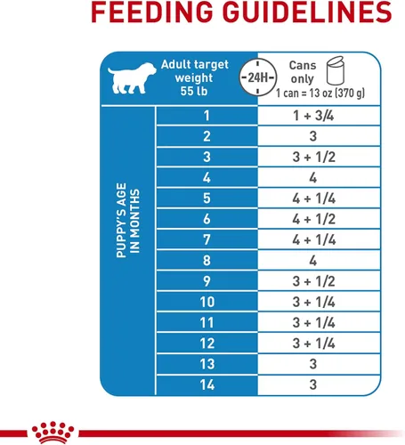 Miniatura 7 de Royal Canin Size Health Nutrition - Alimento para perros grandes en rodajas finas en salsa, 13 onzas (paquete de 6)