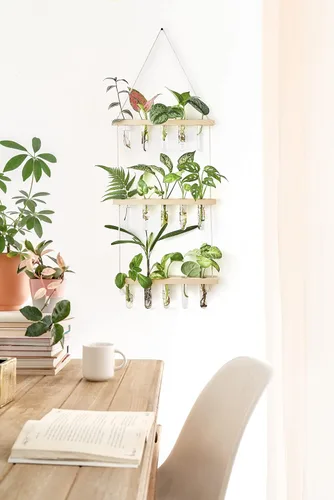 Miniatura 2 de Mkono Terrario para colgar en la pared de 3 niveles con soporte de madera, maceta de vidrio para corte de plantas hidropónicas, decoración de Beige