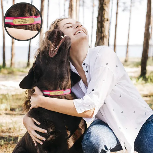 Miniatura 4 de Regal Dog Products Collar de Perro Reflectante Rosa Grande con Placa de Nombre Grabada Personalizada y Anillo Central de Servicio Pesado Collares