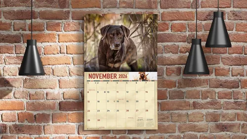 Miniatura 6 de The KING Company-Monster Calendars - Calendario de pared de perro labrador de chocolate 2026, 16 meses, tamaño XL, 14 x 22 pulgadas, calendario