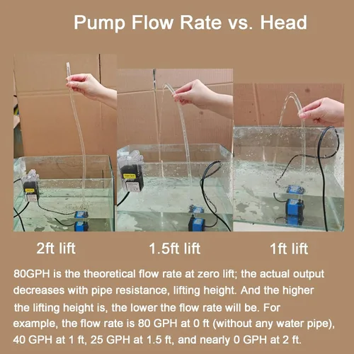 Miniatura 7 de AQUANEAT Pequeña bomba de fuente, bomba de agua sumergible de 80 GPH para acuario, tanque de peces, fuente de agua para exteriores, hidropónicos