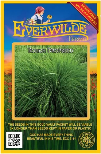 Everwilde Farms - 1000 semillas de hierba nativa de semillas de gota áspera - Paquete de semillas jumbo Gold Vault