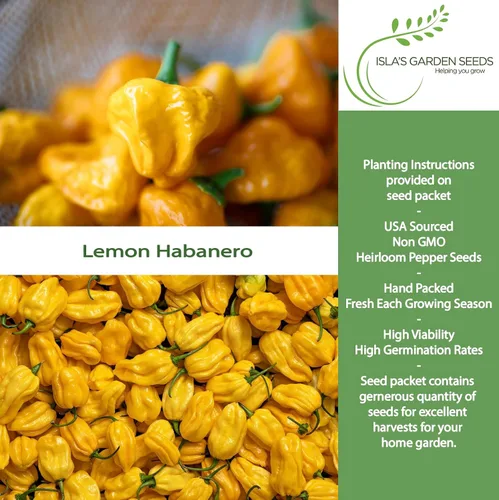 Miniatura 2 de Semillas de pimiento picante Habañero de limón para plantar, más de 25 semillas de reliquia por paquete, semillas de jardín de Isla