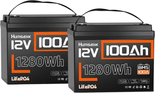Baterías LiFePO4 de 12 V y 100 Ah, sistema BMS de 100 A, tamaño Grupo 24, 1280 Wh, 15,000 ciclos y 10 años de vida; uso marítimo y solar, RV, fuera