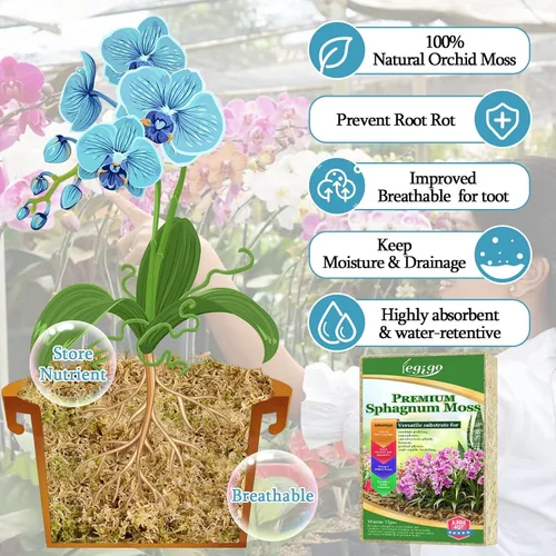 Miniatura 3 de Legigo 100 g de musgo natural esfagno para plantas, mezcla para macetas de orquídea de fibra larga 4QT, musgo esfagno seco para plantas