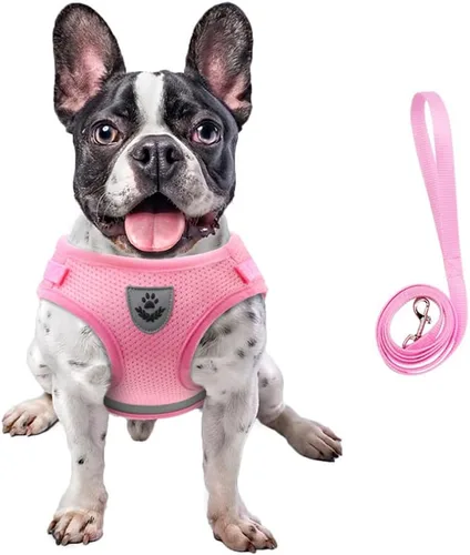 Miniatura 16 de FEimaX Juego de arnés y correa para perro, malla suave ajustable, de fácil control, chaleco ligero para gatos con tiras reflectantes, a prueba