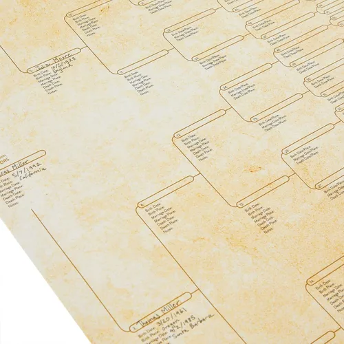 Miniatura 6 de Okuna Outpost Gráficos de árbol genealógico para rellenar – 8 gráficos de genealogía de generación con 255 espacios de nombres – Póster de árbol