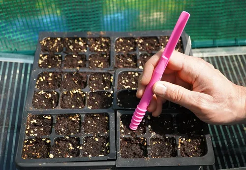 Miniatura 9 de Dibby Semillas Herramienta de jardín Dibber Plantador Transplantador – Siembre semillas a la profundidad correcta – Trasplante fácilmente las Azul