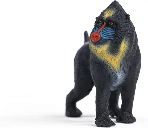 Miniatura 7 de Schleich Wild Life - Figura realista de mono mandril, juguete auténtico y altamente detallado, duradero para la educación y juego divertido