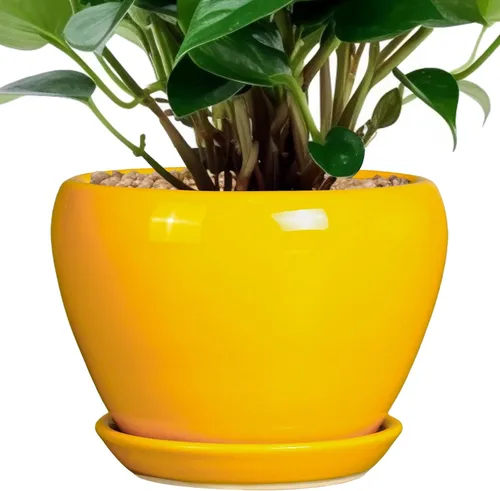 Miniatura 36 de Maceta de Cerámica Moderna con Esmalte para Suculentas con Agujero de Drenaje y Platillo, Maceta Redonda de 6 Pulgadas para Plantas de Flores