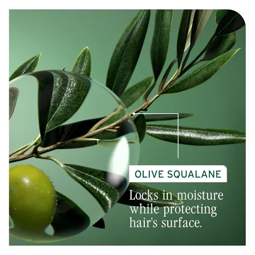Miniatura 4 de Biolage Strength Recovery Shampoo - Reduces Breakage & Detangles, Instantly Strengthens and Moisturizes, For Damaged Hair, With Olive Squalane &