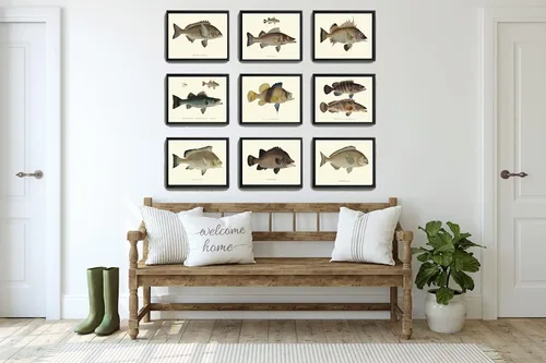 Fish Wall Art Print Set of 9 Prints Beautiful Vintage Antique Lake River Cottage Farmhouse Home Room Decor Wall Art Unframed Fj (4x6)
