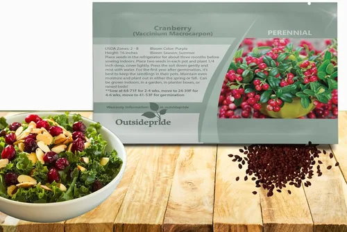 Outsidepride Semillas de arándano – 250 piezas. Perenne, fácil de cultivar y de bajo mantenimiento, semillas de frutas para plantar bayas ricas en