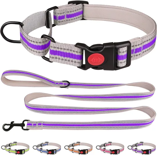Miniatura 8 de Collar Martingala para perros, juego de collar y correa Martingala reflectante acolchado de neopreno suave con hebilla de seguridad, collar Azul