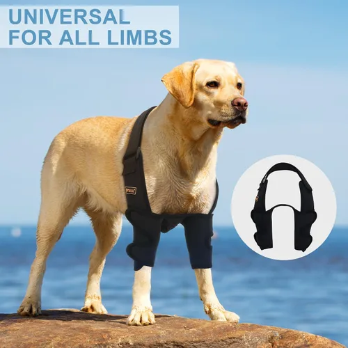 Miniatura 4 de Codera ajustable para perro con soporte de hombro, soporte de pierna delantera para perro para ligamentos desgarrados, artritis, rehabilitación