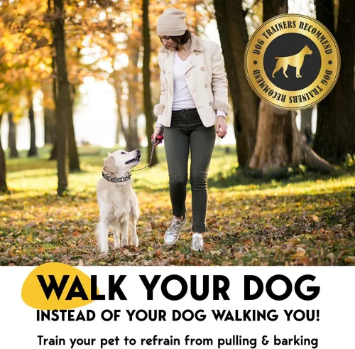 Miniatura 2 de PetJett Collar de Púas para Perros - Collar de Entrenamiento Ajustable para Perros Collar de Ahogo para Perros Collar de Pellizco para Perro, Negro
