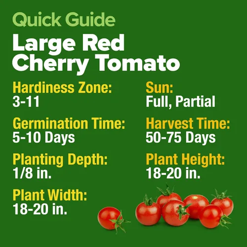 Miniatura 5 de HOME GROWN Semillas grandes de tomate cereza roja, más de 1000 semillas tradicionales sin OMG para plantar, alta germinación, tomates de ensalada