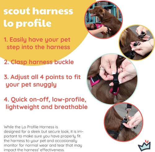 Miniatura 3 de Huxley & Kent Scout LoPro Arnés Azul (extra pequeño, 4-8 libras) Arnés de malla fácil de controlar para perros con tiras reflectantes