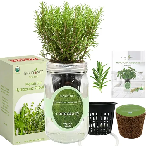 Miniatura 2 de Kit de cultivo hidropónico de hierbas Environet, kit de inicio de jardín de hierbas en tarro de vidrio Mason para interiores, jardín de hierbas
