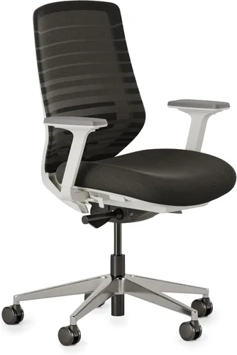 Miniatura 12 de Silla ergonómica Branch - Una silla de escritorio versátil con soporte lumbar ajustable, respaldo de malla transpirable y ruedas suaves - Grafito