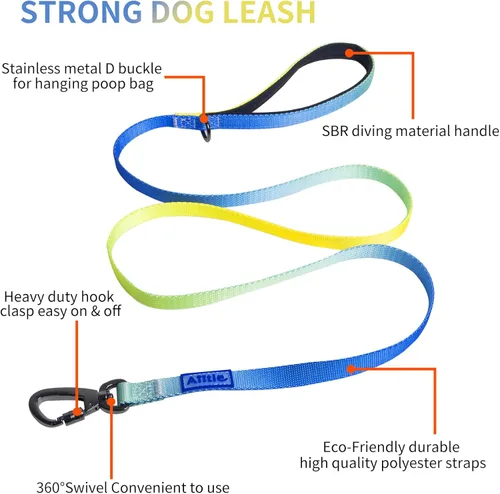 Miniatura 3 de AIITLE Arnés para perro, correa y collar sin tirones, collar básico ajustable con una correa resistente, hebilla súper resistente y anillo en D, Azul