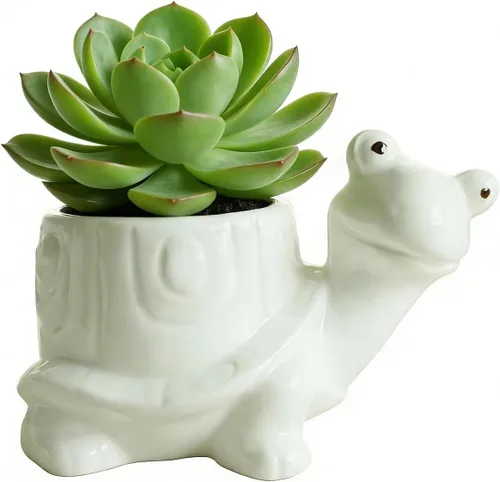 Miniatura 9 de Maceta de cerámica para plantas pequeñas de interior, maceta multiusos para suculentas, soporte para bolígrafos de escritorio, organizador