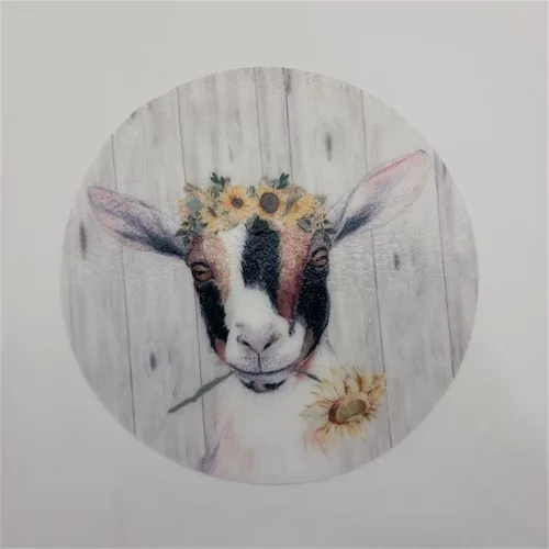 Miniatura 2 de Andreas Silicone JO-417 - Abridor de tarros antideslizante de 6.25 pulgadas, fácil abridor de tapa, fabricado con silicona y tela, apto para Flor