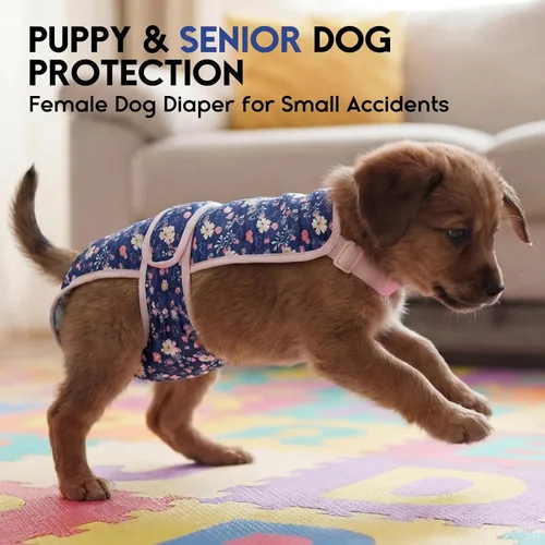 Miniatura 7 de ASENKU Paquete de 2 pañales para perras con tirantes, reutilizables, lavables, para perros pequeños, ropa interior para mascotas a prueba de fugas