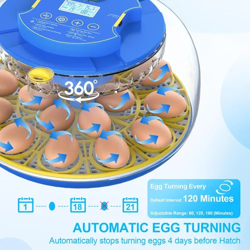 Miniatura 2 de 18 incubadoras de huevos para incubar huevos con control de temperatura, incubadora de huevos con giro automático de huevos y pantalla de humedad