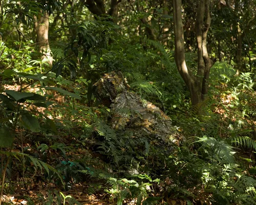 Miniatura 2 de Ginsco Ghillie Suit - Juego de guantes de máscara de cara completa, traje de camuflaje frondoso 3D para hombres, fotografía de caza al aire libre