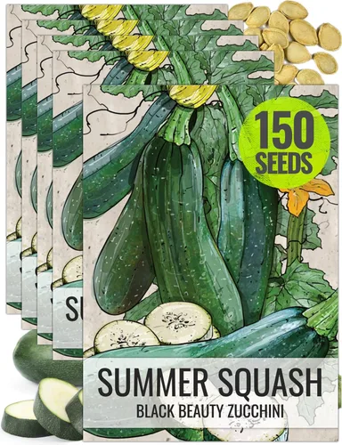 Miniatura 25 de Seed Needs Semillas de calabacín para plantar calabaza de verano Black Beauty, sin OMG, reliquia y sin tratar, rendimientos prolíficos de deliciosos