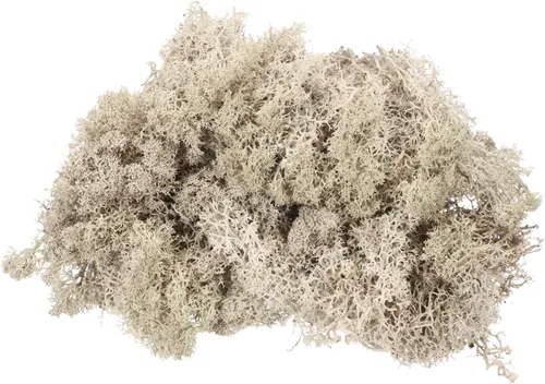 Miniatura 14 de MECCANIXITY Musgo de reno preservado de 4.6 onzas, musgo artificial decorativo gris para plantas en maceta, manualidades de interiores, centros