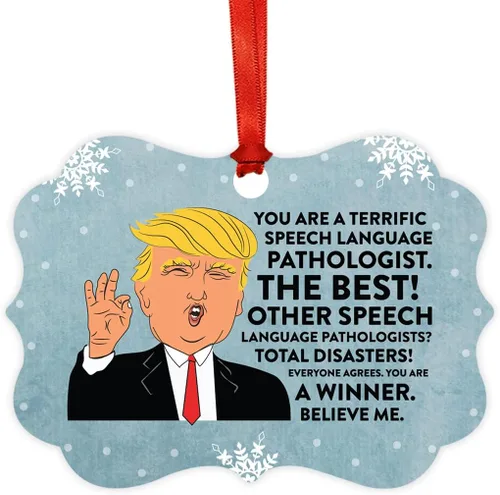 Miniatura 61 de Andaz Press Presidente Donald Trump Fancy Frame Recuerdo Adorno de Navidad Regalo de broma Ejecutivo de Cuenta, 1 paquete, Divertidas Ideas
