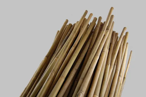 Miniatura 2 de Grower's Solution Estacas de bambú – Natural – 5 pies de alto x 1/2 pulgadas de profundidad – Cañas de planta – Paquete de 250