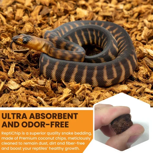 Miniatura 4 de BabiChip - Sustrato de chips de coco para reptiles, 12 cuartos de galón, ropa de cama suelta de tamaño pequeño para pitones de bola, otras