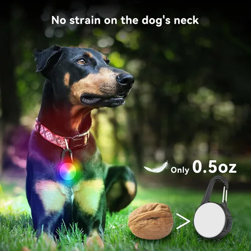 Miniatura 6 de Luces de perro para caminar por la noche, 4 modos IP68 impermeable collar de perro luz para clip nocturno, recargable de alta capacidad con 2 cables