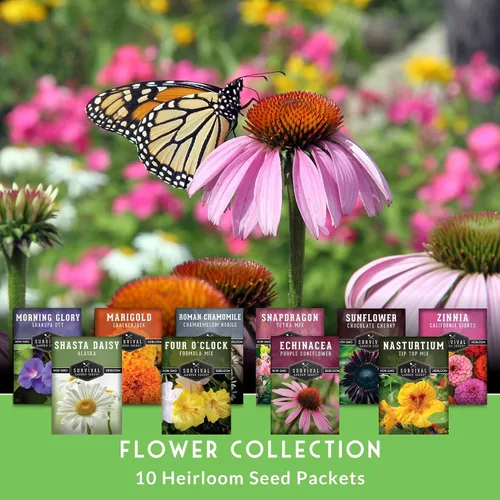 Miniatura 3 de Colección de 10 semillas de flores para plantar Zinnia, girasol, caléndula, boca de dragón, capuchina, gloria de la mañana, manzanilla, margarita