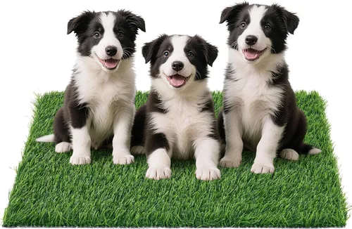 Miniatura 10 de Almohadilla de césped artificial para perros Orinal: 33.2 x 20.8 pulgadas de hierba falsa para perros cachorros entrenamiento para orinar y hacer