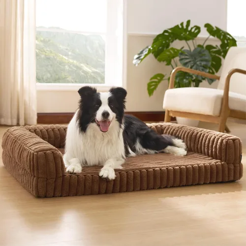 Miniatura 12 de Bedsure - Cama ortopédica para perros medianos, camas impermeables de espuma viscoelástica medianas con lados, sofá de espuma de nido de abeja