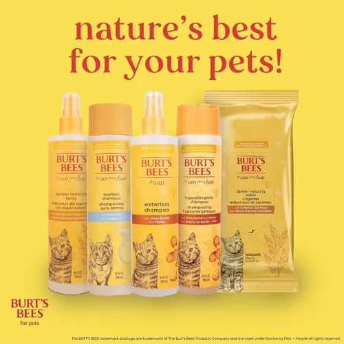Miniatura 12 de Burt's Bees for Pets Champú para gatitos sin lágrimas con suero de mantequilla, fórmulas 99.3% de origen natural, champú para mascotas para gatos