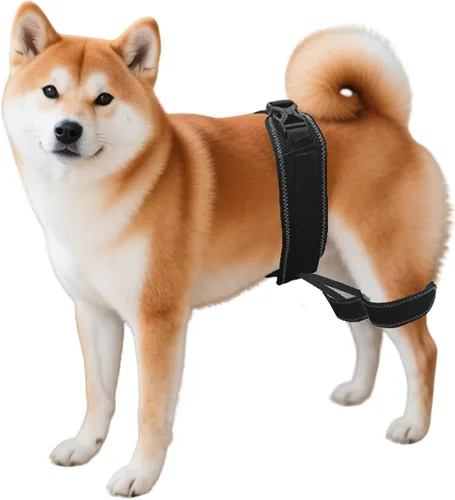 Miniatura 8 de Soporte ortopédico de cadera para perro, soporte para displasia de cadera para perro, soporte para displasia de cadera, artritis, rótula luxante