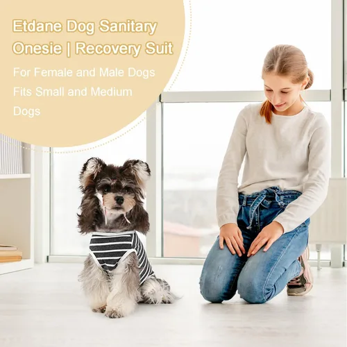 Miniatura 2 de Etdane Pañales para perros, bragas sanitarias, camisas de período fisiológico, trajes de recuperación quirúrgica para perros machos y hembras, rayas