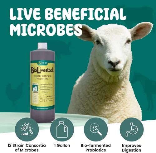 Miniatura 2 de SCD Bio Livestock - Aditivo líquido probiótico para piensos y agua, suplemento digestivo orgánico para vacas, cerdos, caballos, pollos, patos