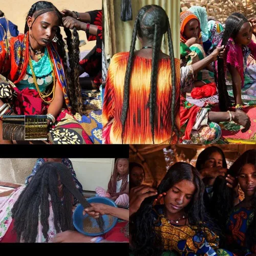 Miniatura 4 de Aceite de cuero cabelludo despertar de África Occidental: mezcla de hierbas con ricino y romero para un cabello rizado y rizado 3C a 4C de aspecto