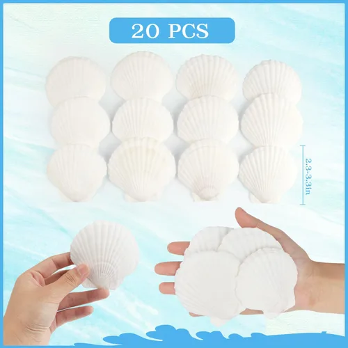 Miniatura 2 de Jangostor 20 conchas de vieira natural, conchas de vieira de 2.3 a 3.5 pulgadas, conchas de vieira blancas grandes para manualidades, decoración