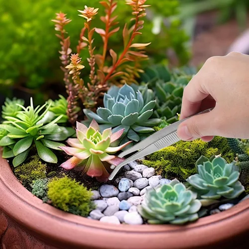 Miniatura 5 de jojofuny 5pcs Succulent Gardening Tweezers Stainless Steel Plant Transplanting Tools for Seedlings Flower Succulent Care Lightweight Portable Hand