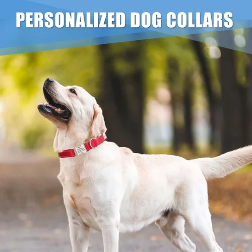 Miniatura 6 de Collar de perro personalizado con etiqueta de nombre, collar de nailon reflectante para mascotas, collares de perro con hebilla grabada Rosa