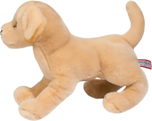 Miniatura 5 de Douglas Mandy - Peluche de perro de laboratorio amarillo